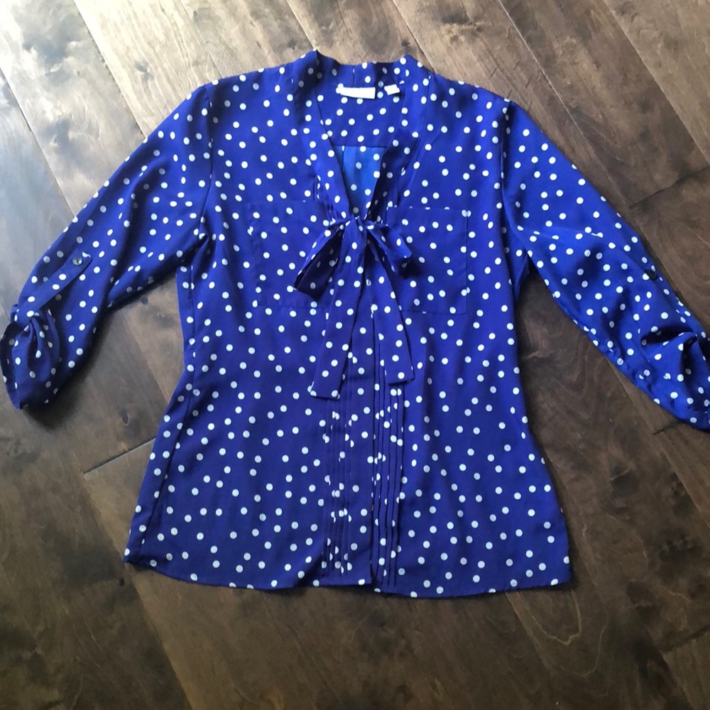Blue Polka Dot Blouse
